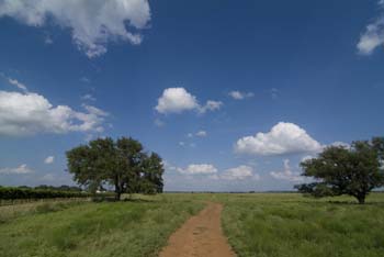 Project_HCB_20070815_TallentVineyard_0055